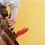 Handyman repair service in Cincinnati, OH for home fixes and improvements