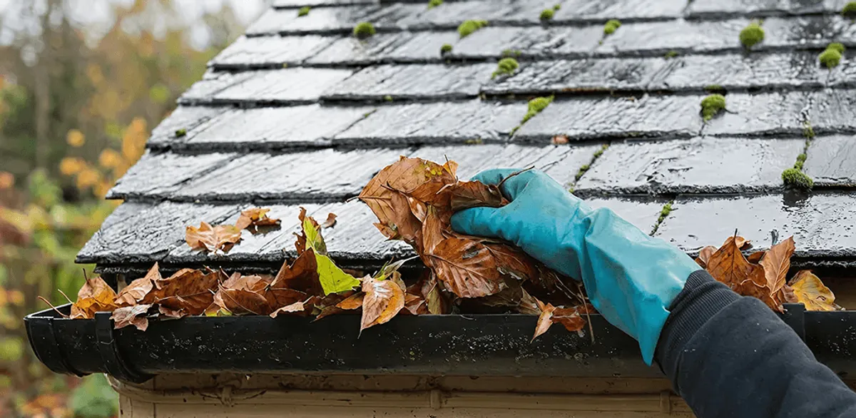 Gutter cleaning technician clearing wet leaves from roof gutters in Cincinnati, OH