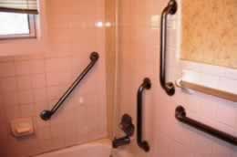 Grab Bars